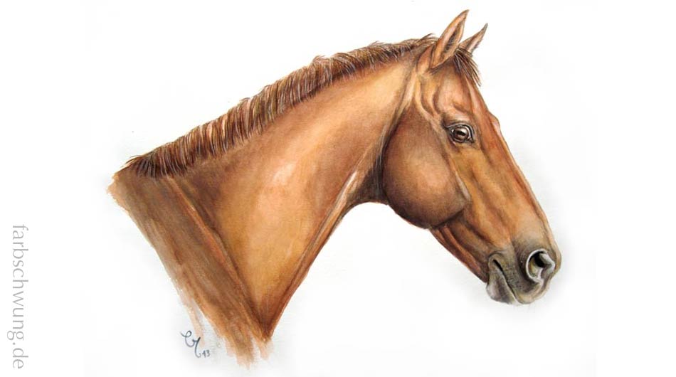 Pferdeportrait mit Aquarellfarben in 36 x 48 cm