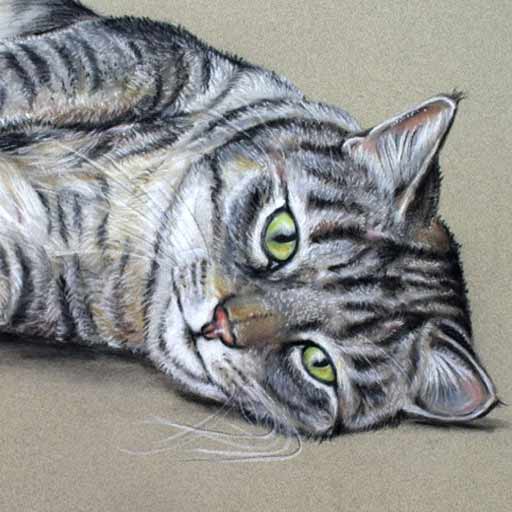 Pastell Katze